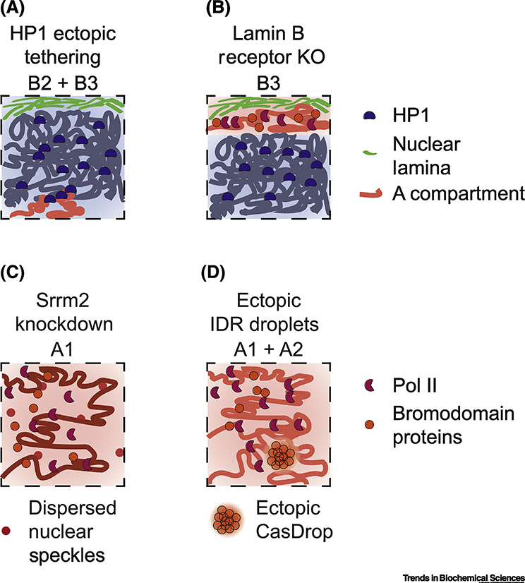 Figure 3: