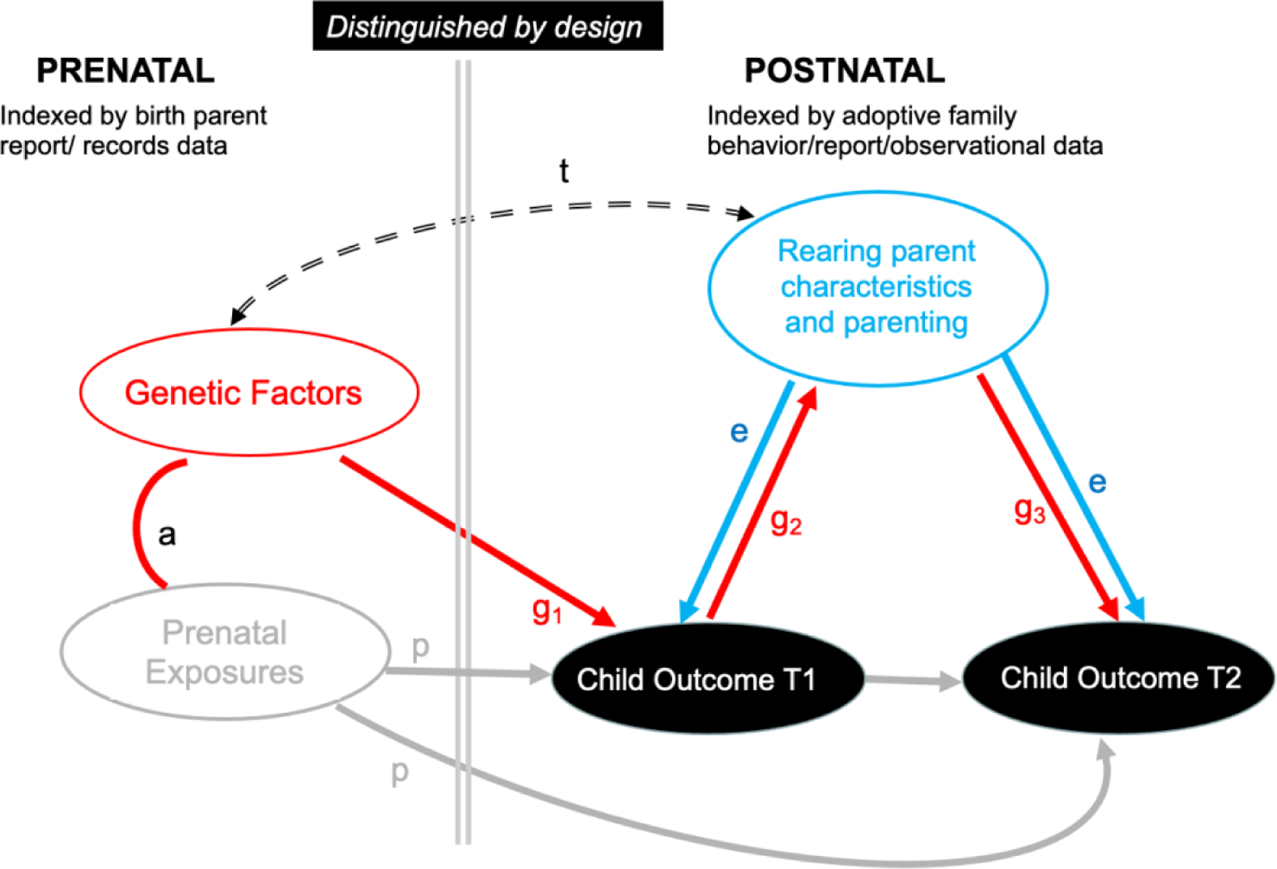 Figure 1C.