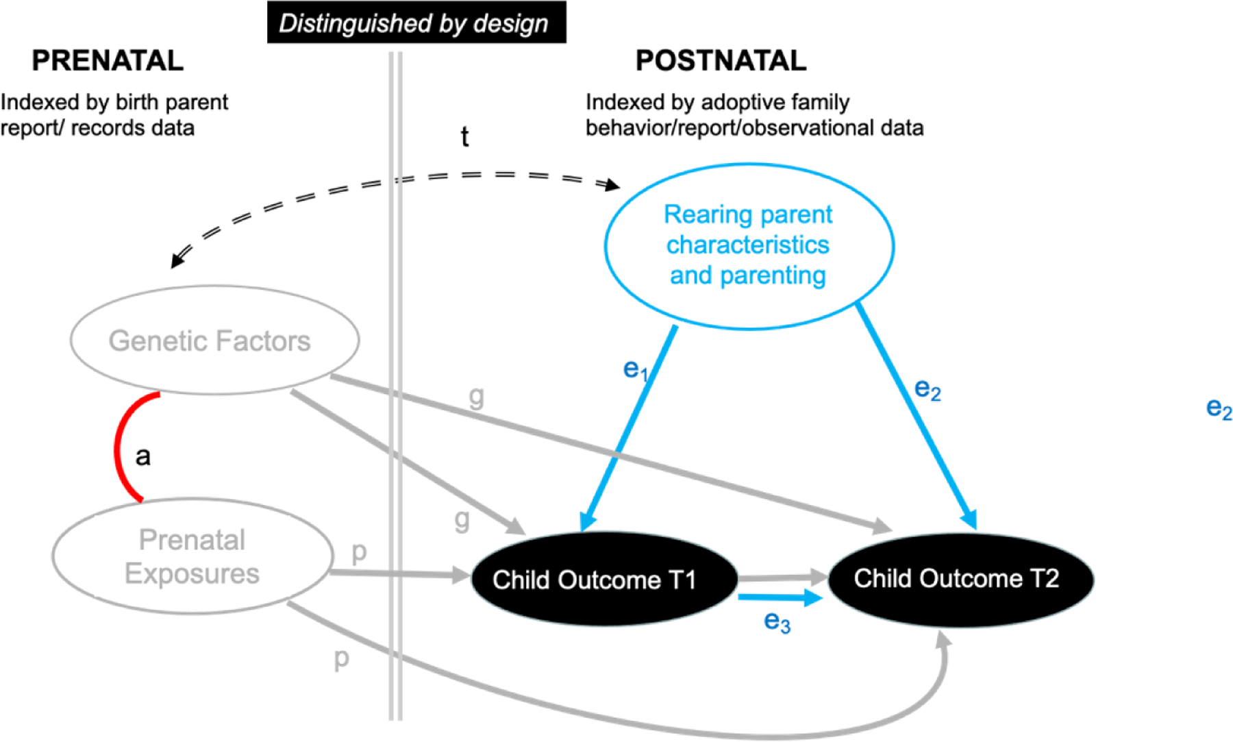 Figure 1B.