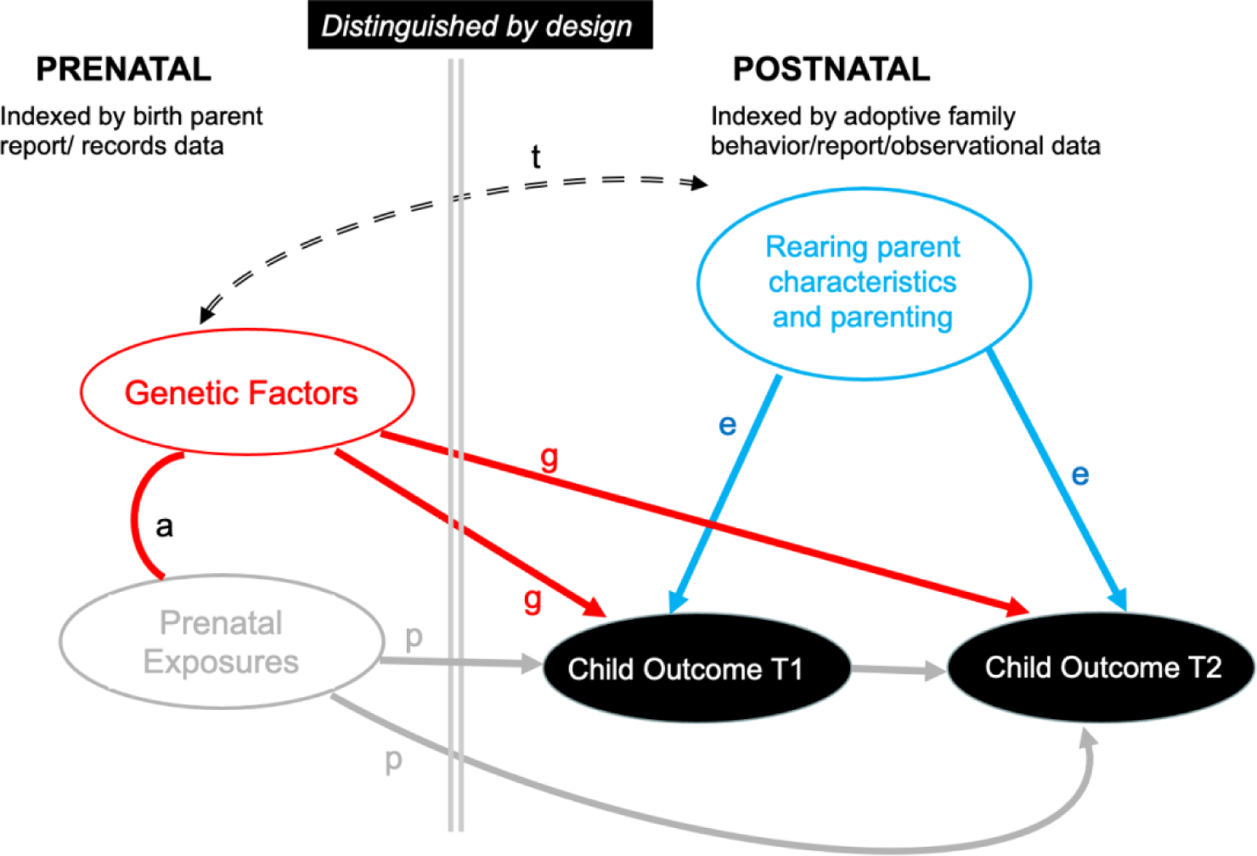 Figure 1A.