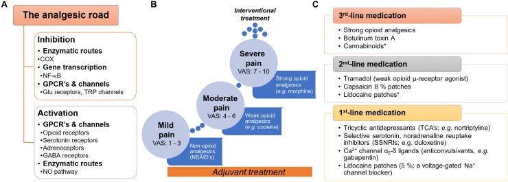 FIGURE 1