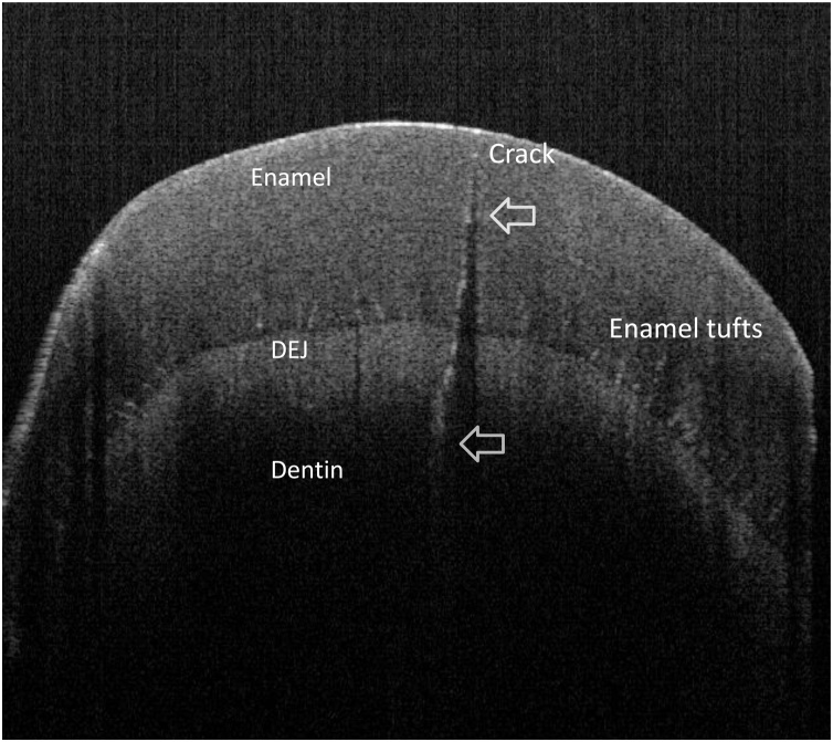 Fig. 8