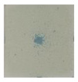 graphic file with name polymers-16-01400-i004.jpg