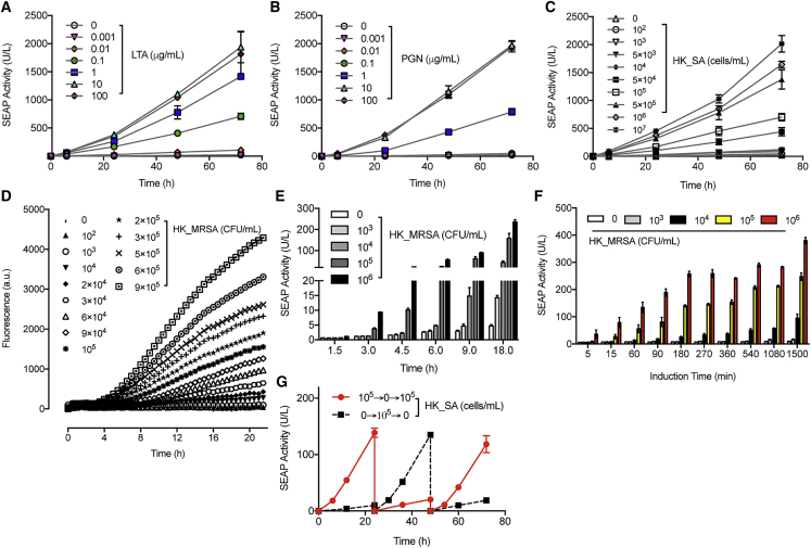 Figure 2