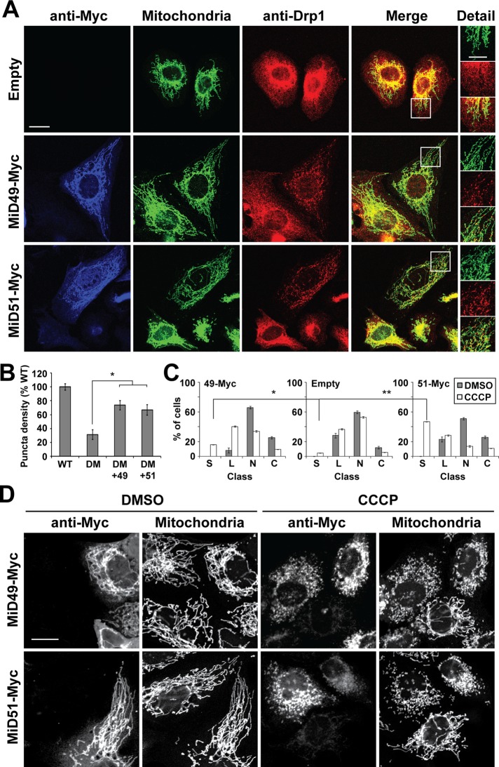 FIGURE 6: