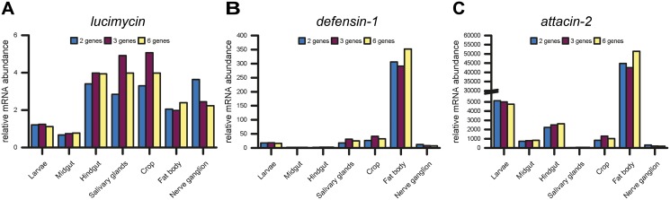 Fig 4