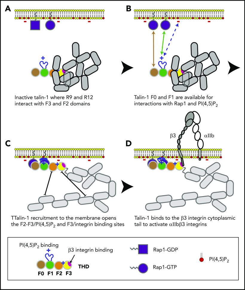 Figure 6.