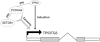 Figure 3.