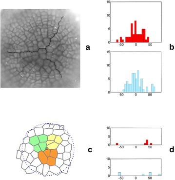 Fig. 10