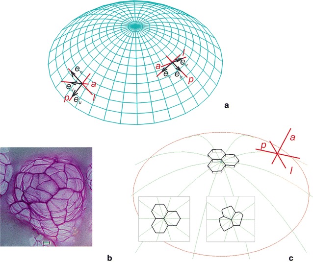 Fig. 1