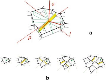 Fig. 3