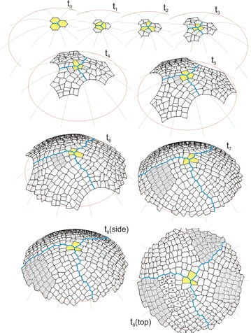 Fig. 4