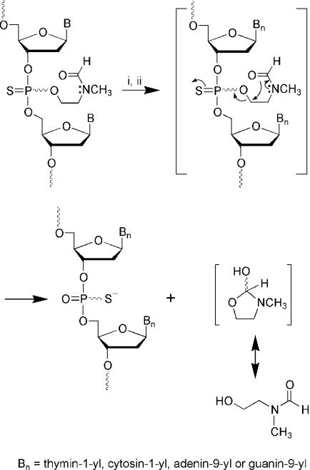 Scheme 3