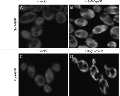 Figure 3.—