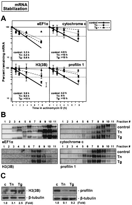 FIG. 9.