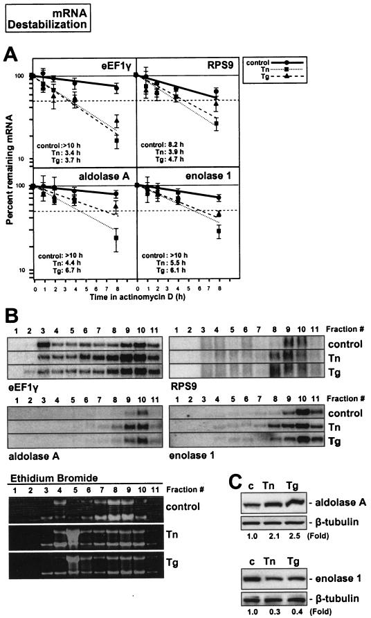 FIG. 7.