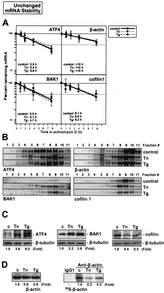 FIG. 8.