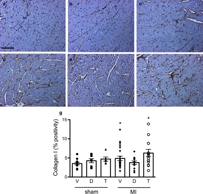 Fig. 6