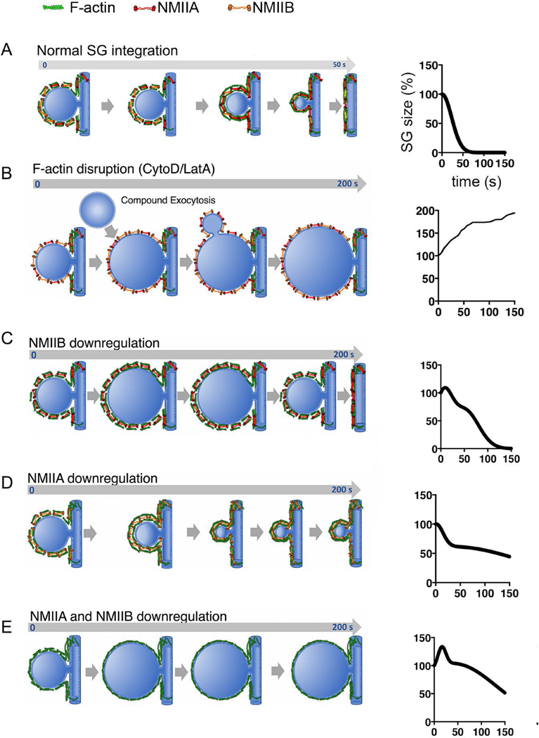 Figure 2-