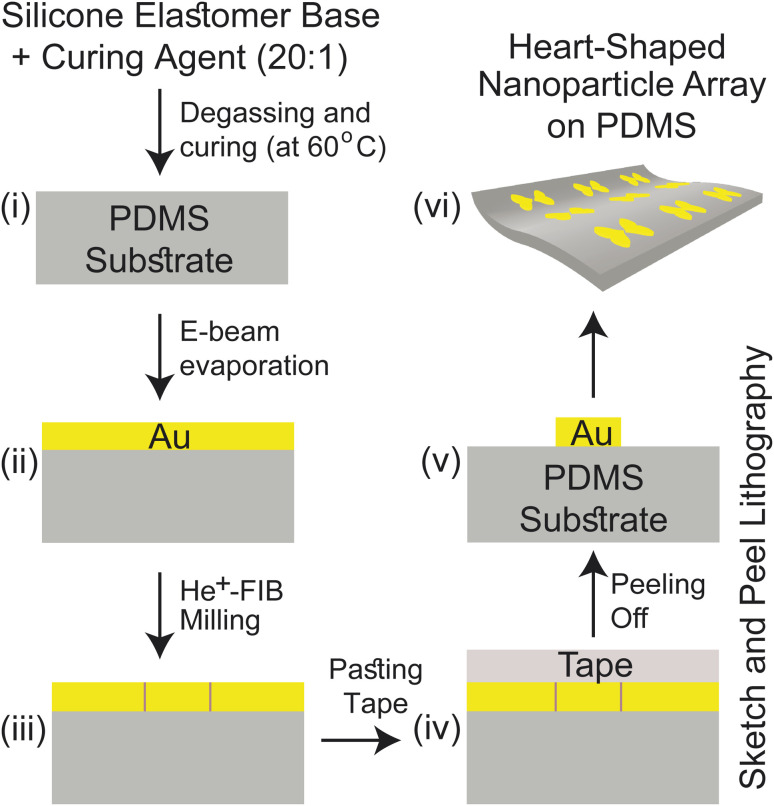 Fig. 2
