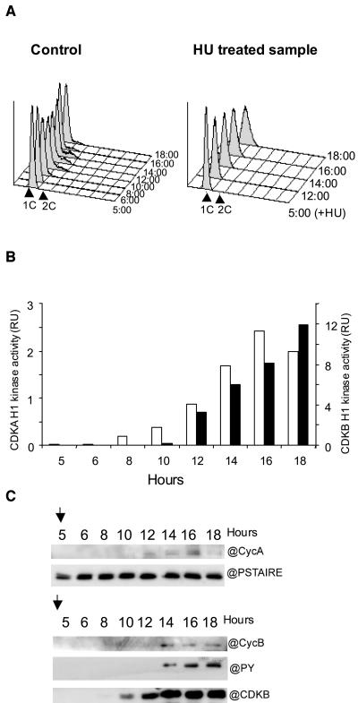 Figure 6.