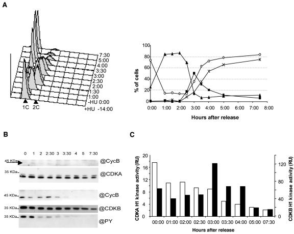 Figure 4.