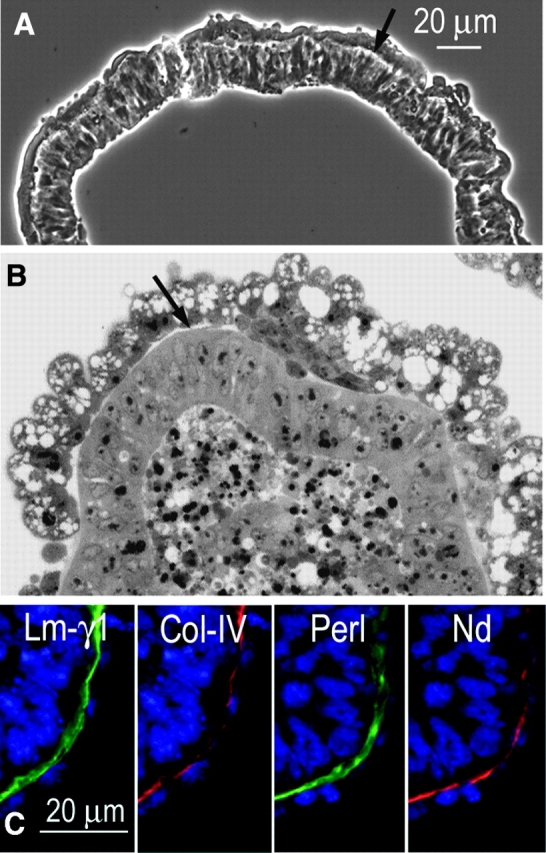 Figure 5.