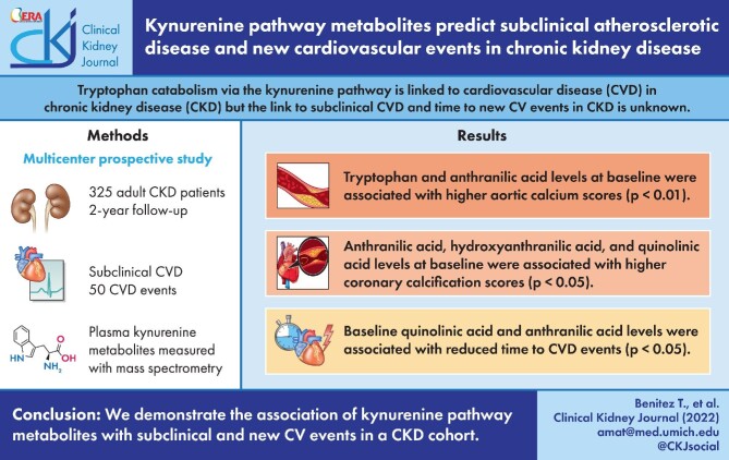 Graphical Abstract