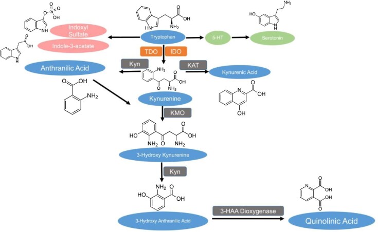 FIGURE 1: