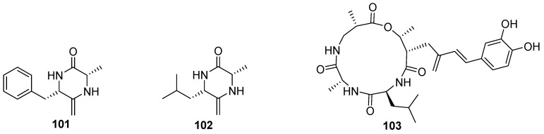 Figure 16