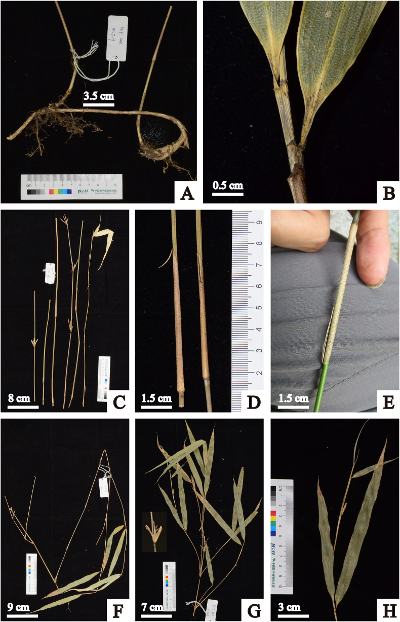 Fig. 3