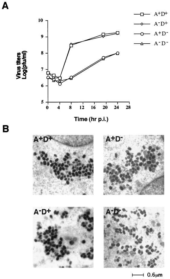 FIG. 5