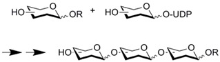 graphic file with name molecules-16-06041-i016.jpg