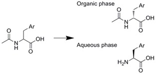 graphic file with name molecules-16-06041-i008.jpg