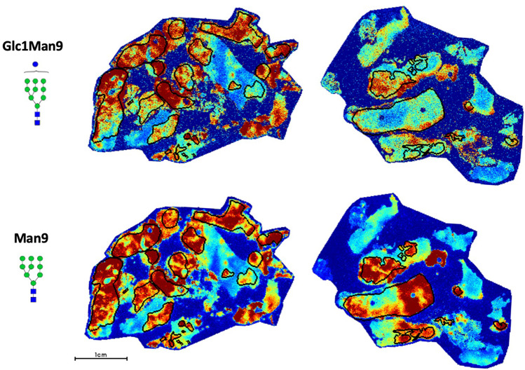 Fig. 7