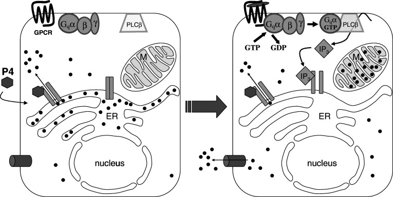 Fig. 8