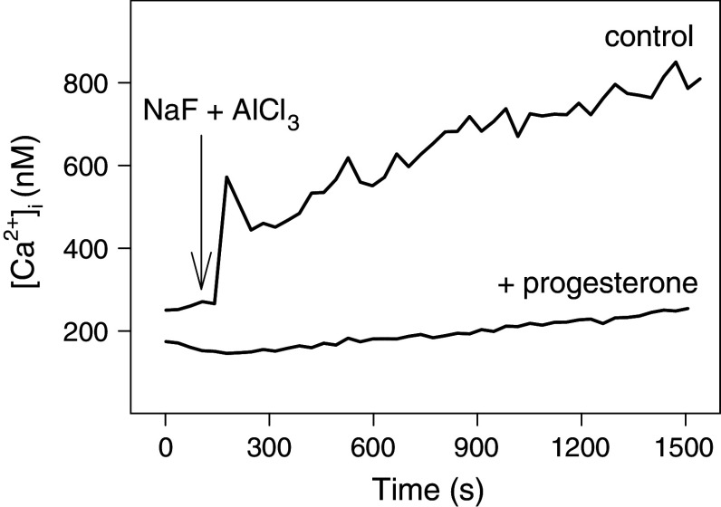 Fig. 4