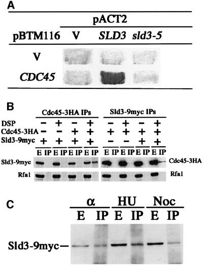 graphic file with name cde188f3.jpg