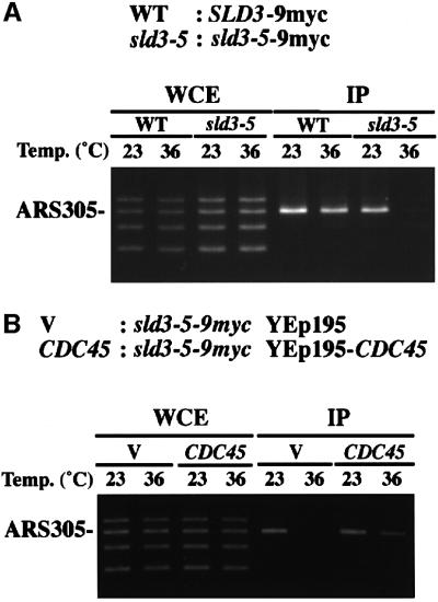 graphic file with name cde188f7.jpg