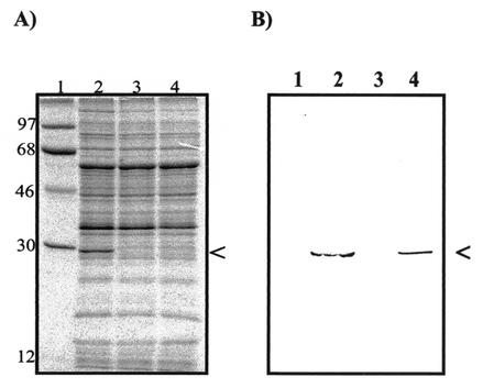 FIG. 4.