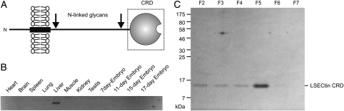 Fig. 1.