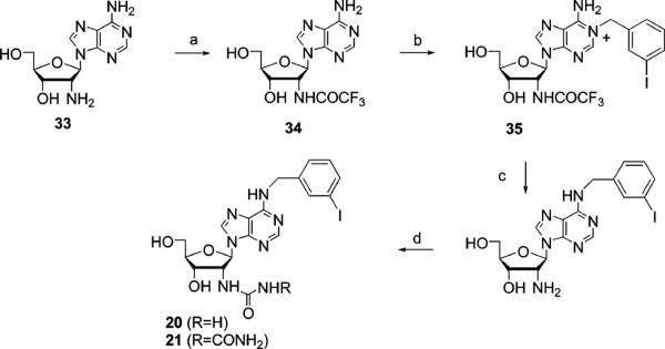 Scheme 3