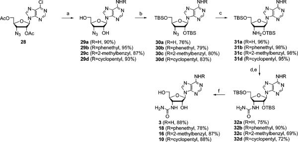 Scheme 2