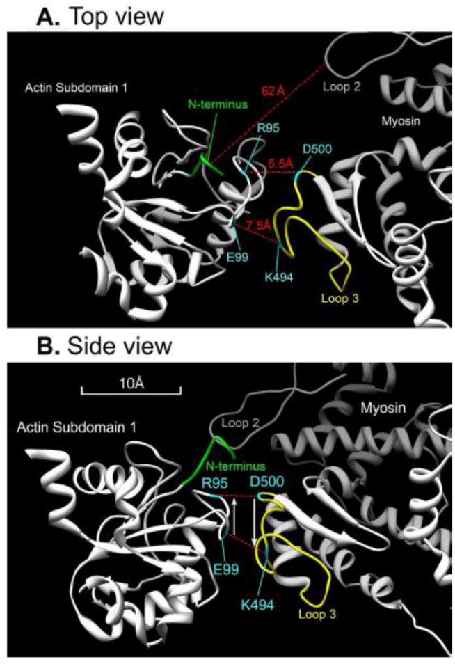 Fig. 10