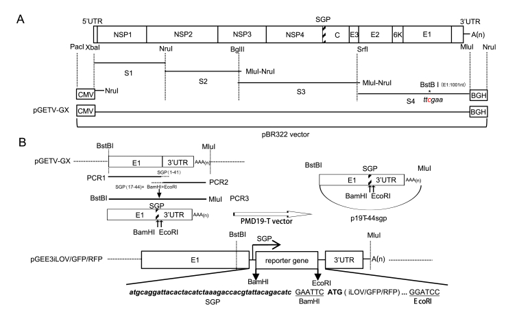 Fig. 1