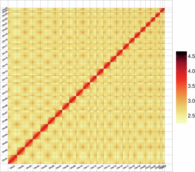 Fig. 3