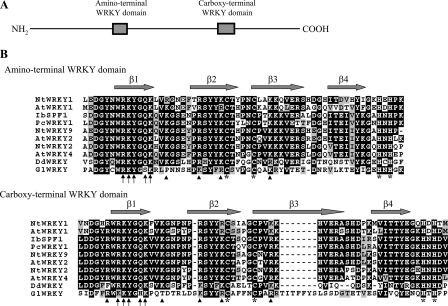 FIGURE 1.