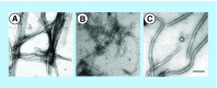 <b>Figure 1.</b>