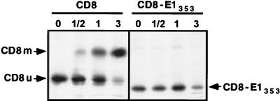 FIG. 7