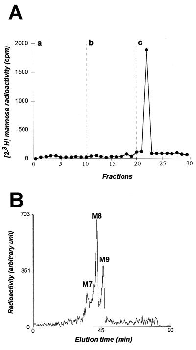 FIG. 8